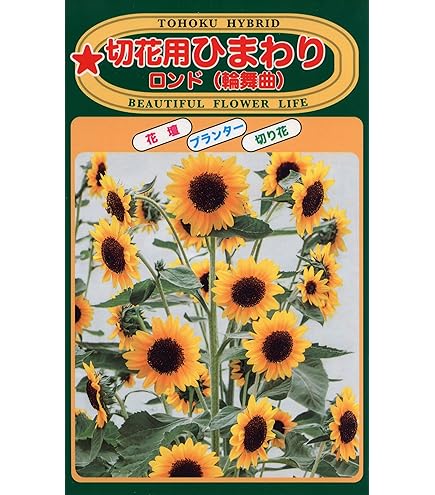 ひまわり様 リクエスト 6点 まとめ商品 マナマナ様 リクエスト 4点 まとめ商品 まとめ売り