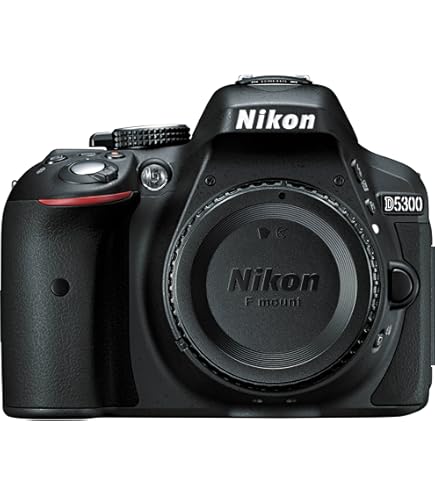 Amazon | Nikon D5200 24.1 MP CMOS Digital SLR Camera Body Only