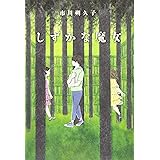 しずかな魔女 (物語の王国 2-13)