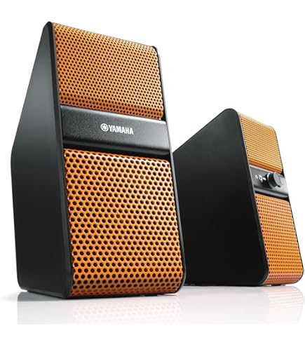 Amazon.co.jp: パナソニック 800 MHz帯ワイヤレスパワードスピーカー