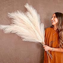 91NOeZ8O7XL._AC_UL210_SR210,