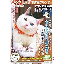 Amazon.co.jp: 日刊ゲンダイ特集号「日刊ニャンダイ2026」（2026年02月
