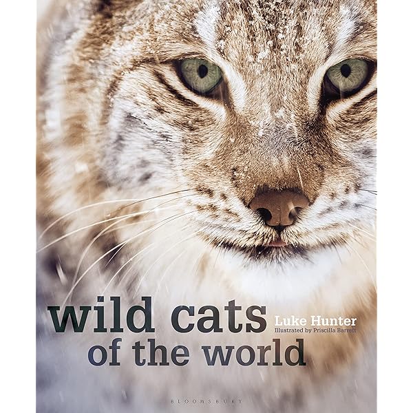 Amazon | The Wild Cat Book | Sunquist, Fiona, Sunquist, Mel
