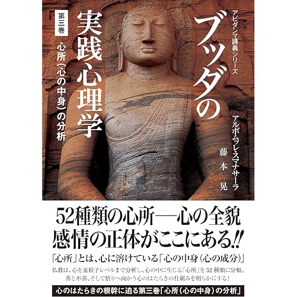 ブッダの実践心理学 第一巻 物質の分析(サンガ文庫) (アビダンマ講義