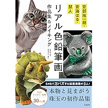 色鉛筆画　ぷりんページ Amazon | 色鉛筆48/72/120/150/200色水溶性色鉛筆鉛ペイント