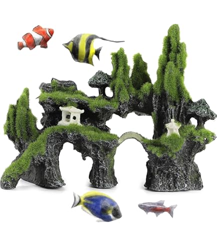 Amazon | カミハタ 水景BONSAI 榕樹(ガジュマル) S 流木 活着