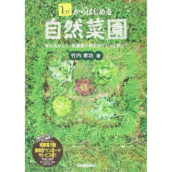 Amazon.co.jp: 自然農法―緑の哲学の理論と実践 : 福岡正信: Japanese Books
