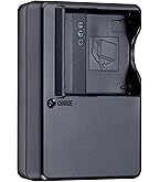RICOH DB-65 バッテリーとBJ-6充電器セット売り リコー RICOH バッテリー充電器 BJ-6 バッテリーチャージャー