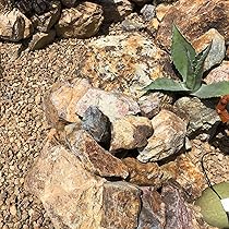 91O8z6T9-bL._AC_UL210_SR210,