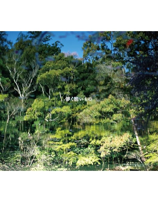 Amazon.co.jp: 「THANK YOU LIVE 2024」at 日比谷公園大音楽堂