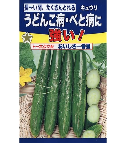 Amazon | キュウリ Vロード タキイ交配 タキイのキュウリ種です