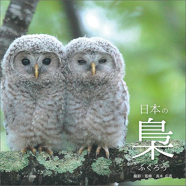 Amazon.co.jp: もふもふフクロウ ガルーさんの休日 電子書籍: げんさん