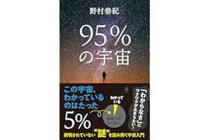 95％の宇宙　解明されていない“謎”を読み解く宇宙入門 (SB新書)