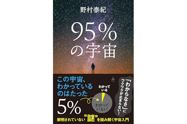 95％の宇宙　解明されていない“謎”を読み解く宇宙入門 (SB新書)