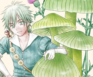 アニメ化決定作品 - 風の魔法使い