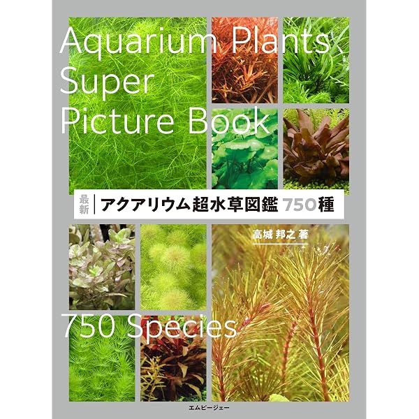 世界の水草728種図鑑―アクアリウム&ビオトープ | 吉野 敏 |本 | 通販