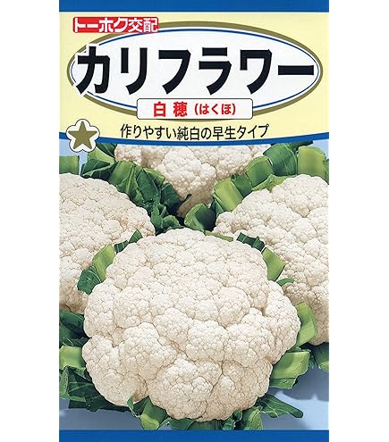 【ぐれたく様ご依頼】ブロッコリー種 カリフラワー種 全てコート種子 Amazon.co.jp: 種 野菜たね カリフラワー F1オレンジ