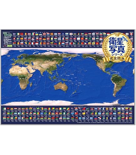 Amazon | 48×78 大型 現代世界地図 Elite 掛地図 ラミネート済み