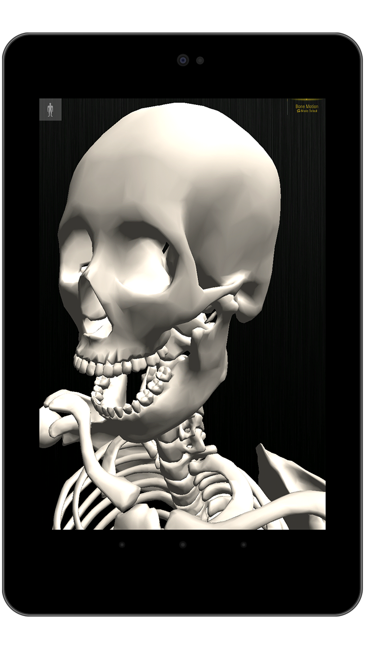 Amazon Co Jp Teamlabbody