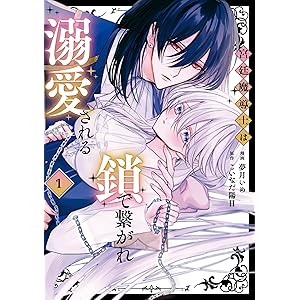 宮廷魔導士は鎖で繋がれ溺愛される１ (ノーチェCOMICS)の表紙