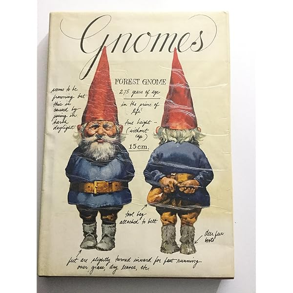 Secrets of the Gnomes - | 9789997213693 | Amazon.com.au | Books