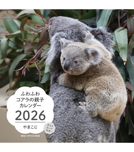 ⭐︎コアラ⭐︎ Amazon｜デコレ(Decole) 食器 G'DAY,MATE! Australianimals