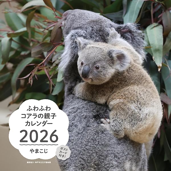 コアラのあずまちゃん | 協力：多摩動物公園 |本 | 通販 | Amazon