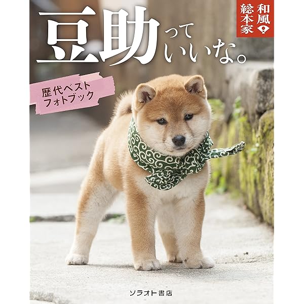 二十三代目豆助 ファンブック | 新紀元社 |本 | 通販 | Amazon