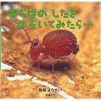 カラー版こどもの季節　ほるぷ出版　全12巻　図鑑　知育 七尾純 カラー版こどもの季節 ほるぷ出版 全12巻 図鑑 知育 七尾純