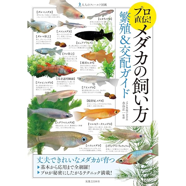 全訂増補版 メダカ学全書 | 岩松 鷹司 |本 | 通販 | Amazon