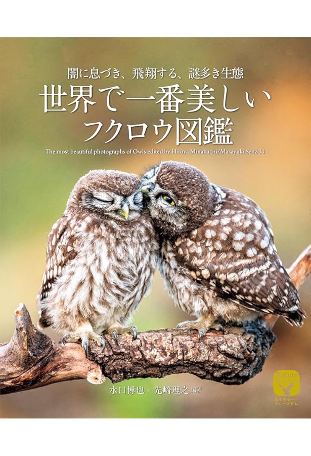 フクロウ 地球上で最も謎めいた鳥の科学 | ジェニファー・アッカーマン