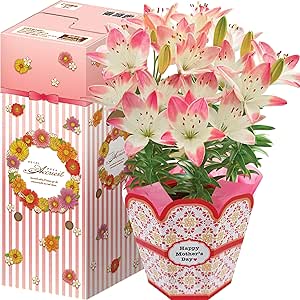 Amazon 花のギフト社 母の日 シュガーラブ 花鉢 鉢花 百合 鉢植え プレゼント フラワーギフト 5 5号鉢 観葉植物 オンライン通販