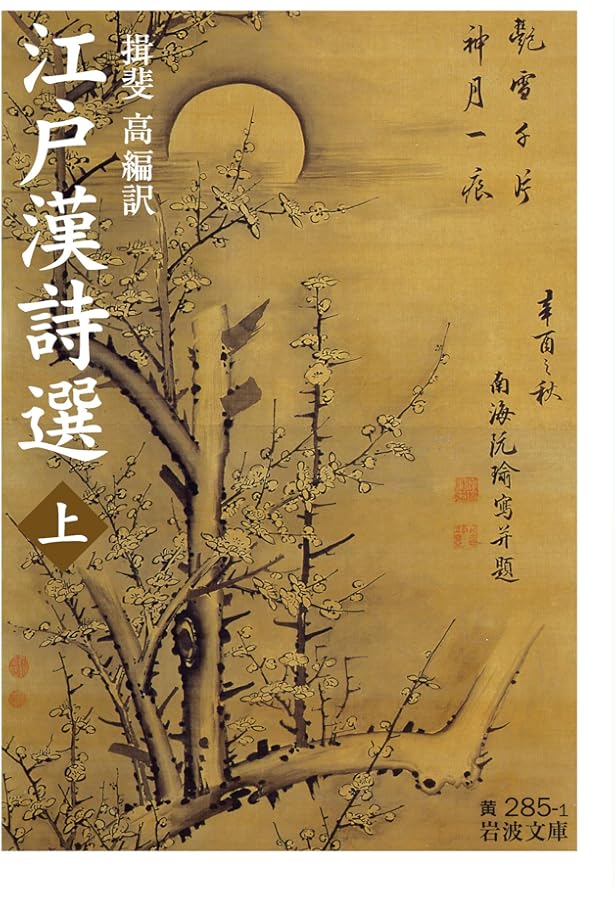 Amazon.co.jp: 頼山陽──詩魂と史眼 (岩波新書 新赤版 2016) : 揖斐