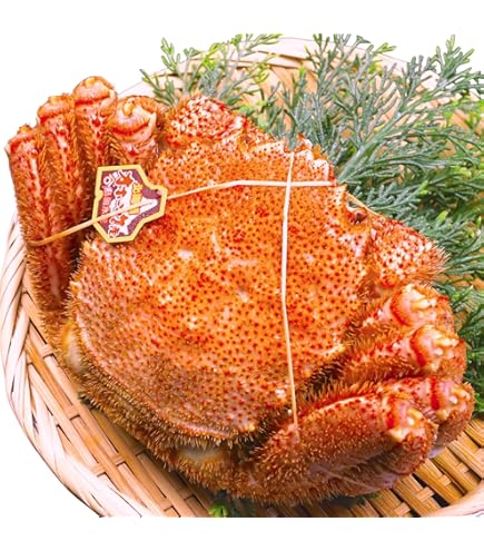 北海道産毛ガニ1キロ Amazon.co.jp: 毛ガニ 特大 1kg 毛蟹 北海道産 1キロ 蟹味噌 メガ