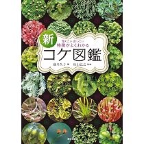 新 特徴がよくわかるコケ図鑑（知りたい会いたい） | 藤井 久子 |本