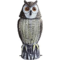 フクロウ香合 172836273_o3.jpg?