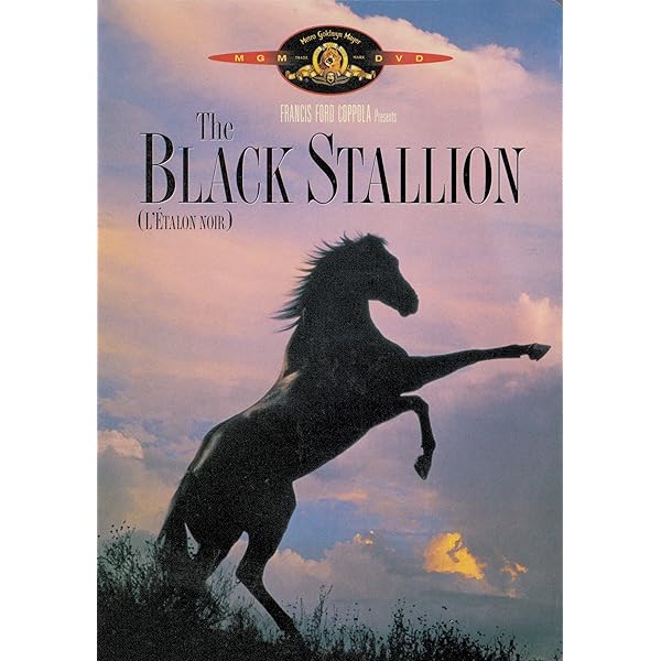 Black Stallion, the : Amazon.com.au: Movies & TV