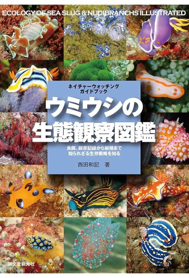 ウミウシガイドブック: 沖縄・慶良間諸島の海から | 小野 篤司