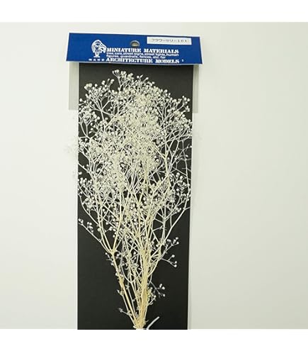 かすみ草ページ２ prdct_img_20579_2.jpg