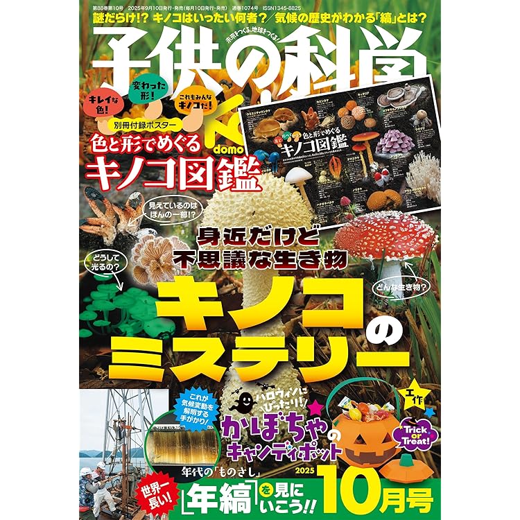 Amazon.co.jp: 子供の科学 2025年 11月号 別冊付録付［雑誌］ : 子供の