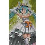 初音ミク FVGA(480×800)壁紙 黒獅子 初音ミク FVGA(480×800)壁紙 黒獅子