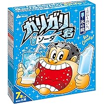 ガリガリ君　純銀製 Amazon.co.jp: [冷凍] 赤城乳業 ガリガリ君ソーダマルチ（63ml×7