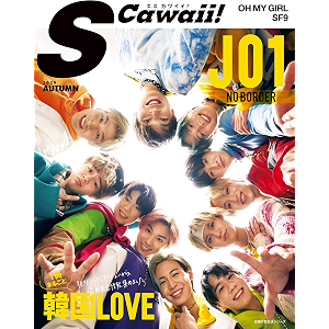 S Cawaii! AUTUMN 2020 主婦の友生活シリーズ