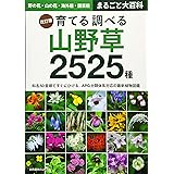 四季を楽しむ 山野草の庭つくり 条 克己 本 通販 Amazon