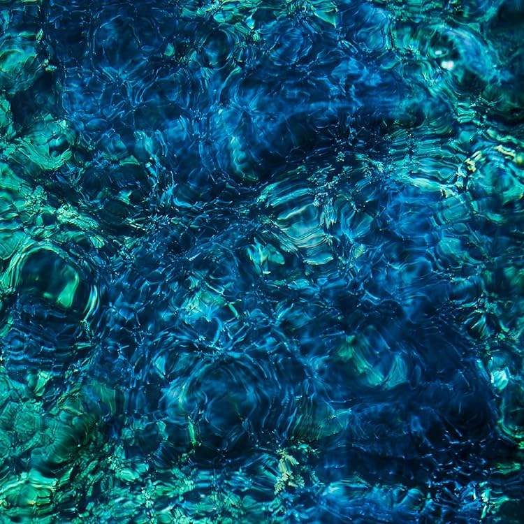 Amazon.co.jp: アダンの風 [Analog]: ミュージック