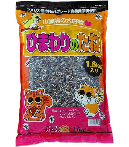 NO?YES! ひまわりのたね Amazon | サカタのタネ 実咲花5630 ミニひまわり 小夏 00905630 | 花