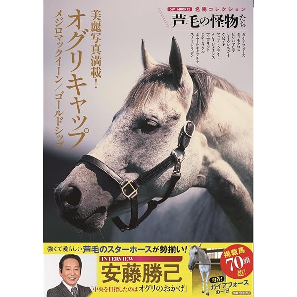 ゴールドシップ写真集 駿夏秋冬 | 競馬王編集部 |本 | 通販 | Amazon