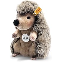 91Rdr31LO0L._AC_UL210_SR210,