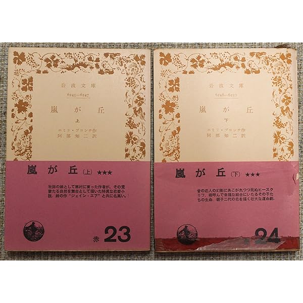 嵐が丘 (1967年) (旺文社文庫) | E.ブロンテ, 中村 佐喜子 |本 | 通販