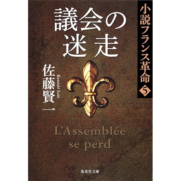 Amazon.co.jp: 【合本版】小説フランス革命（全18巻） (集英社文庫